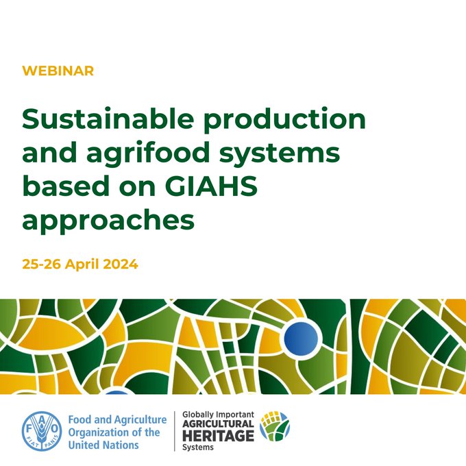 🪂Dive into #AgriculturalHeritage! 🌿 Follow today's webinar: 'Sustainable production and agrifood systems based on GIAHS approaches' 🗓️ Date: April 25-26, 2024 ⏰ Time: 1:00 PM - 4:00 PM (Rome time) 🔗 Register now: bit.ly/4aCFj5c