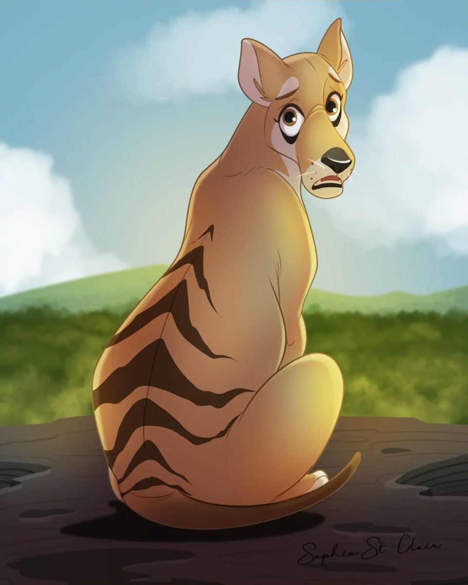 PetCreationsArt's tweet image. The Thylacine, an animal that looks like a cross-breed between a tiger and a wolf 🐺🐯🤩

They&apos;re actually semi-nocturnal creatures that hunt either alone or in pairs ♥️

#petlovers #thylacine #extinctanimal #tasmaniantiger #fanart #photoshop #speedpaint #illustration
