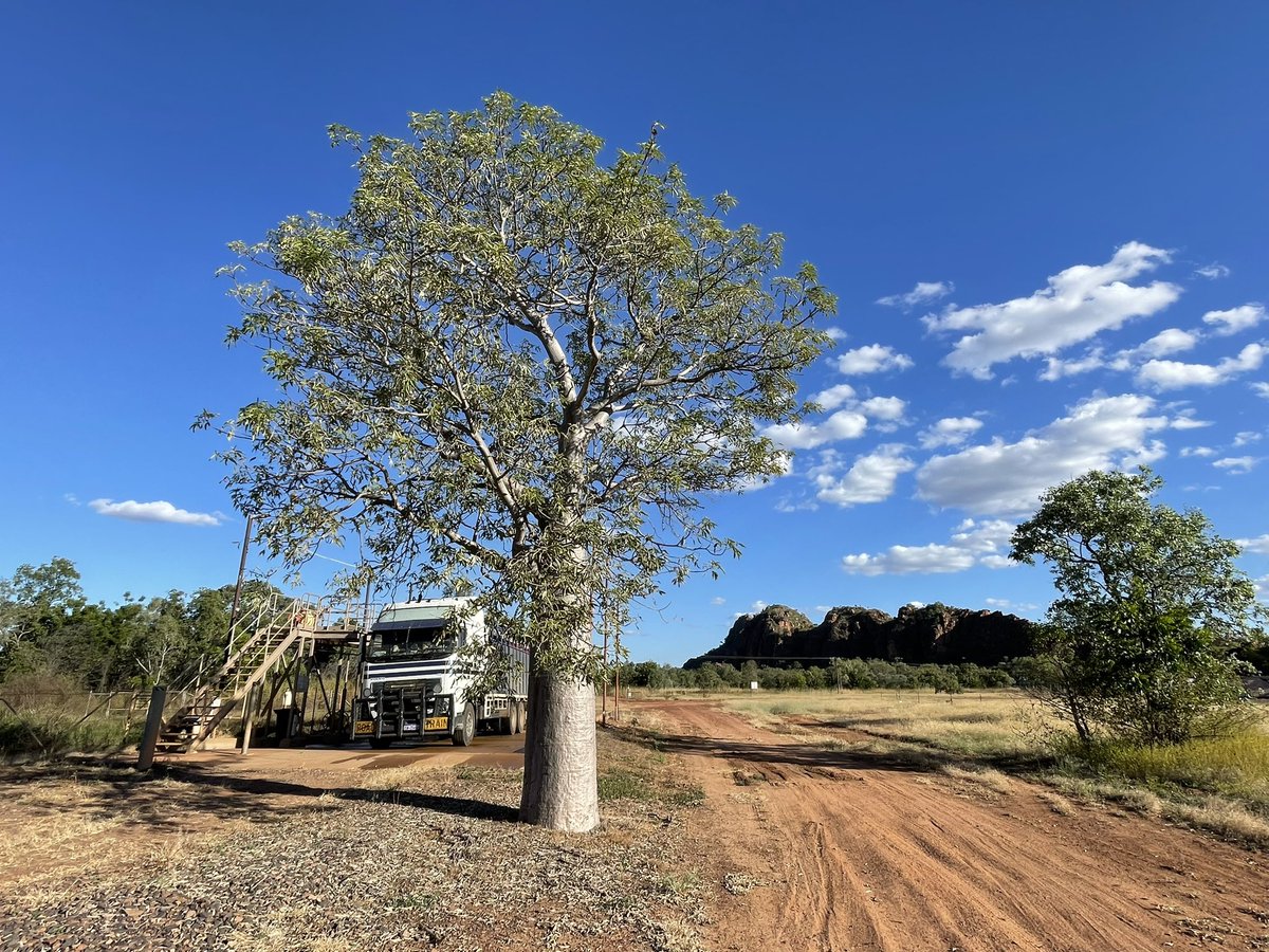 Australia’s most picturesque trucking wash bay! #kununurraquarantine