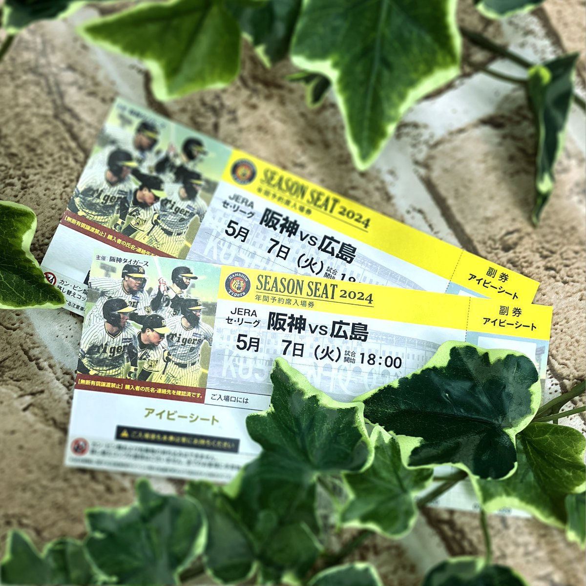 シャープ産業(MIZUNO GROUP) (@sharp_mizuno) on Twitter photo /
#タイガース vs カープ
5/7・8観戦チケット プレゼント🎁
\
7日1組2名様、8日1組2名様にプレゼント✨
▼応募方法
1⃣<a href="/Sharp_Mizuno/">シャープ産業(MIZUNO GROUP)</a> をフォロー
2⃣この投稿をリポスト
🎯当選者には<a href="/Sharp_Mizuno/">シャープ産業(MIZUNO GROUP)</a> からDM
⏰応募締切:4/29(月)23:59
#シャープ産業 /
#タイガース vs カープ
5/7・8観戦チケット プレゼント🎁
\
7日1組2名様、8日1組2名様にプレゼント✨
▼応募方法
1⃣<a href="/Sharp_Mizuno/">シャープ産業(MIZUNO GROUP)</a> をフォロー
2⃣この投稿をリポスト
🎯当選者には<a href="/Sharp_Mizuno/">シャープ産業(MIZUNO GROUP)</a> からDM
⏰応募締切:4/29(月)23:59
#シャープ産業