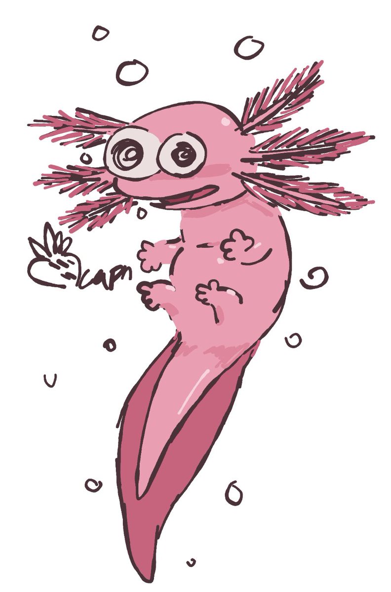 Pim-Bot5000 tweet media