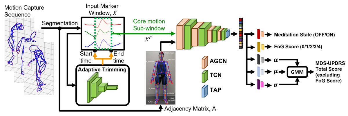 An Explainable Spatial-Temporal Graphical Convolutional Network to Score Freezing of Gait in Parkinsonian Patients mdpi.com/1424-8220/23/4… #deeplearning #motioncapture #Parkinson