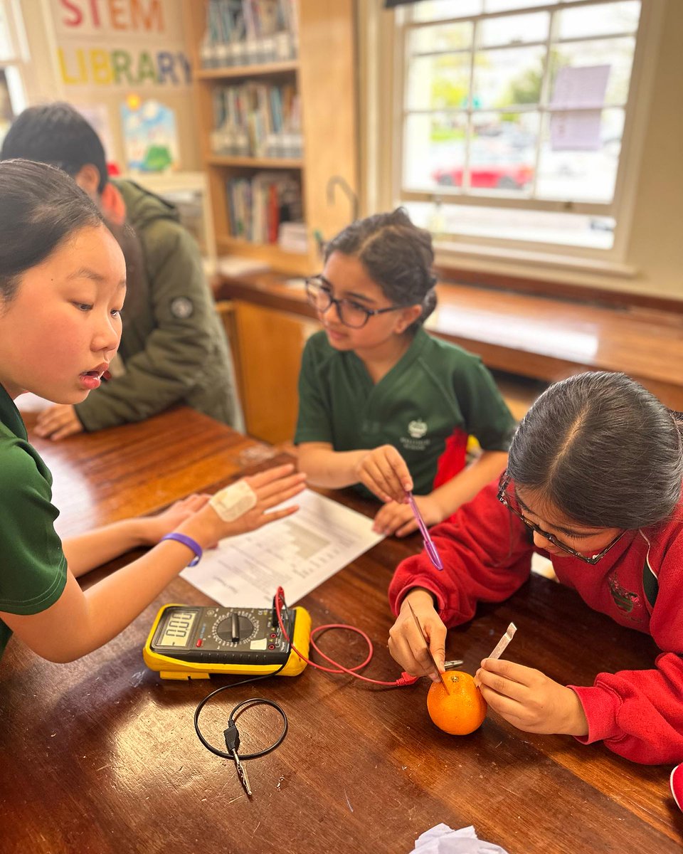 We were thrilled to host our #SeniorSchool Experience Day for Year 5. Pupils engaged in #science and #DT workshops, enjoyed a captivating Science Show led by Heads of Departments from visiting senior schools, and participated in climbing and #martialarts workshops! The climbing…