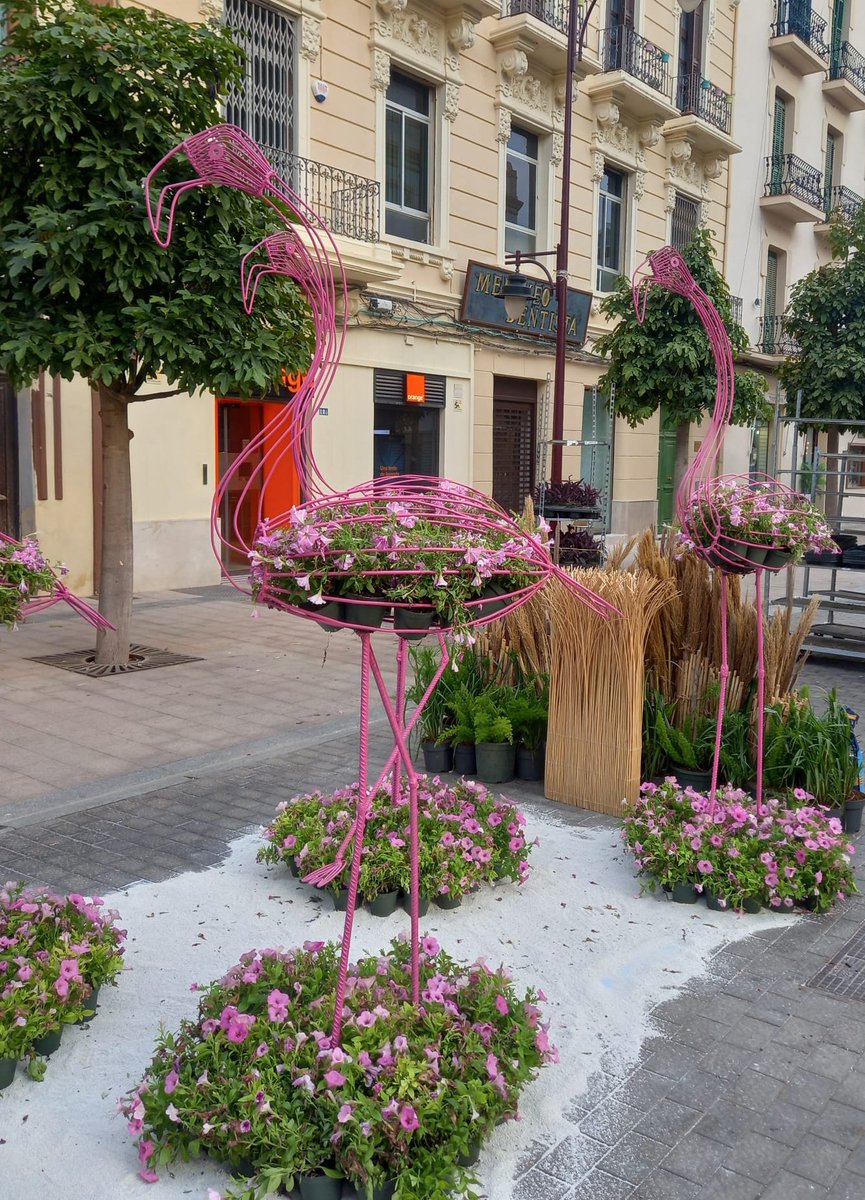 Talher_'s tweet photo. "Melilla en Flor" es una iniciativa consolidada desde 2011 que transforma el paisaje urbano durante unos días y que no tiene coste para la Ciudad Autónoma, ya que se incluye dentro del contrato de Infraestructura Verde, desarrollado por @Talher_.

#Paisajismo #MelillaEnFlor https://t.co/Ct5uG4sNfo