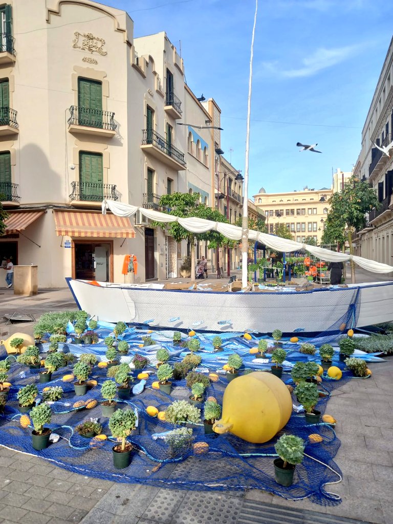 Talher_'s tweet photo. "Melilla en Flor" es una iniciativa consolidada desde 2011 que transforma el paisaje urbano durante unos días y que no tiene coste para la Ciudad Autónoma, ya que se incluye dentro del contrato de Infraestructura Verde, desarrollado por @Talher_.

#Paisajismo #MelillaEnFlor https://t.co/Ct5uG4sNfo