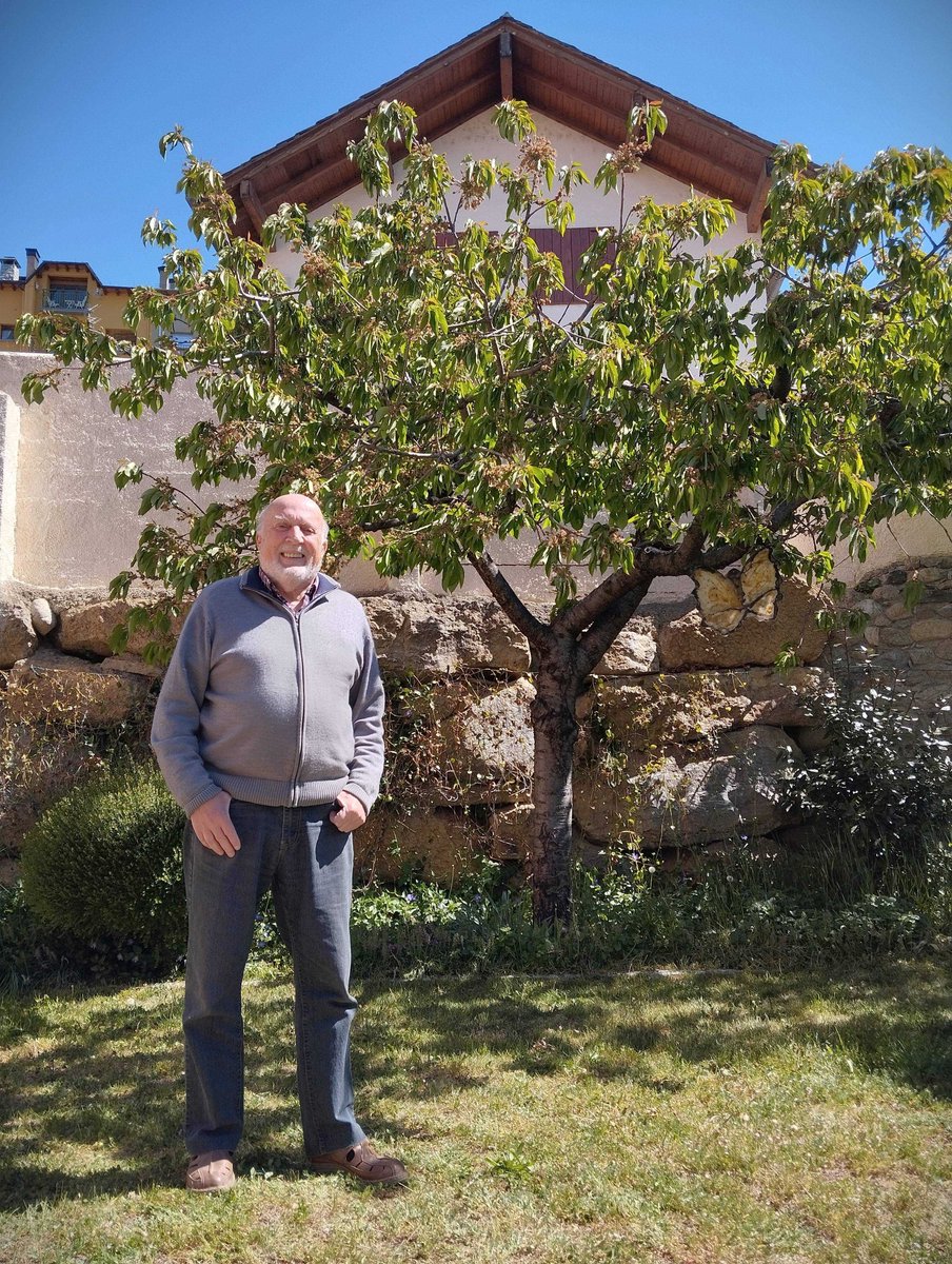 📝 Hem visitat en Jordi Queralt a #Puigcerdà (Cerdanya) on monitora la fenologia del saüquer i cirerer del seu jardí. Moltes gràcies per la teva col·laboració a la xarxa #FenoCat🌸! 📸 L'observador (@meteopuigcerda) davant el cirerer que monitora, el 24/04/2024.