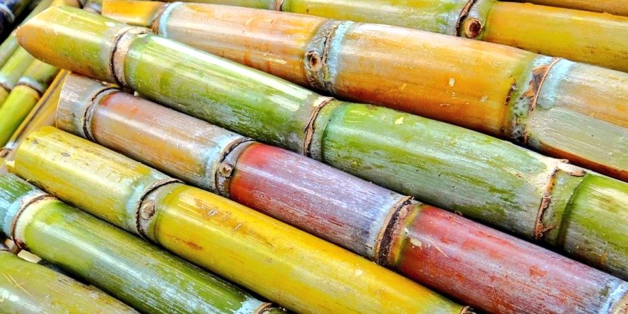 Good morning, Here comes an open question for y'all....... A sugar cane “#IGISHEKE”: Is it a fruit or a glass ?!