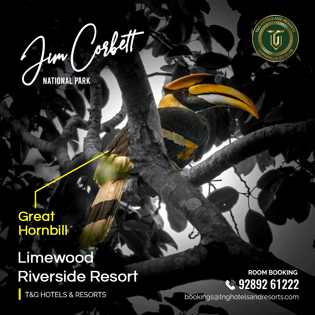 Escape to Limewood Riverside Resort , Jim Corbett this summer 🌞From March to June, experience the thrill of wildlife encounters.
For more info visit : bit.ly/4d3JpVQ or call us : +91 9289261222

#tandghotelsandresorts #limewoodresorts #jimcorbett #jimcorbettnationalpark