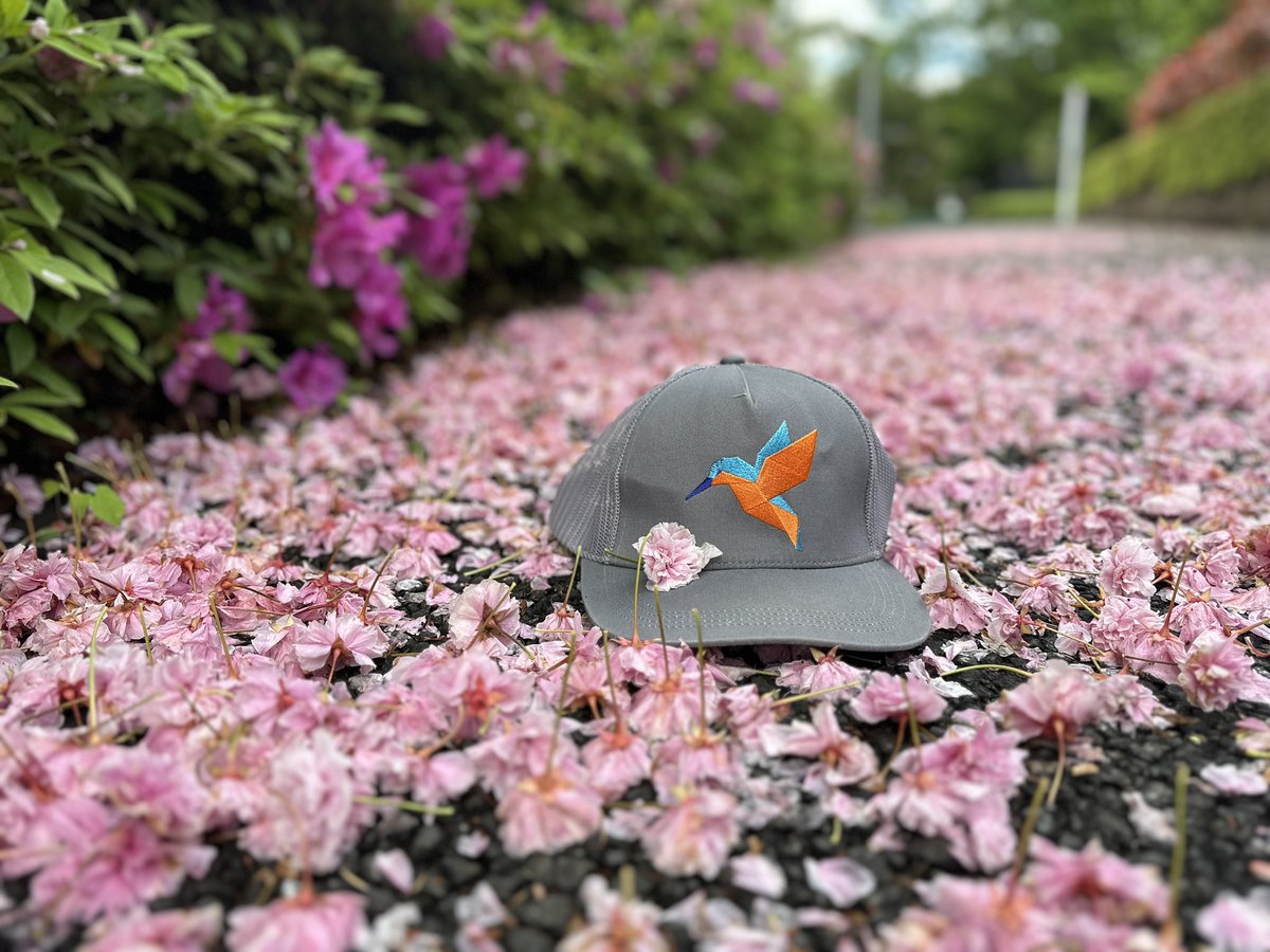 Sakura season in Tokyo!
