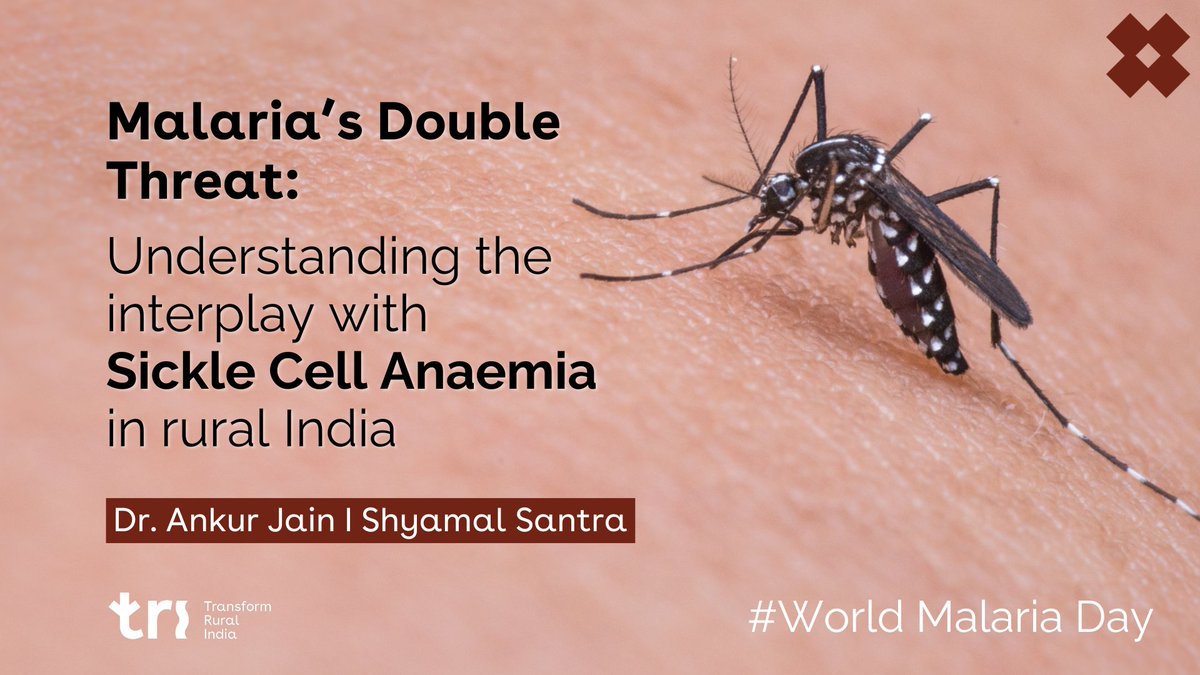🦟 In India where 95% of the population resides in malaria-endemic areas, the coexistence of hashtag#malaria and sickle cell anaemia poses unique challenges. 

🧬 Sickle cell anaemia, a genetic disorder prevalent in rural India, adds another layer of complexity to the fight