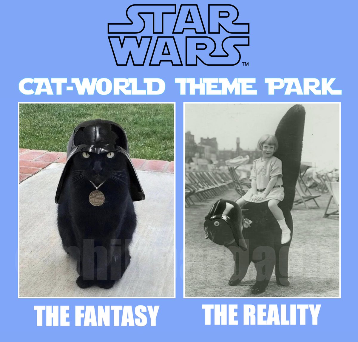 Oh, the anticipation! #StarWars #StarWarsUnlimited #cat #cats #catsofinstagram #CatsOfX #themepark #themeparks #DarthVader #darthvaderhelmet