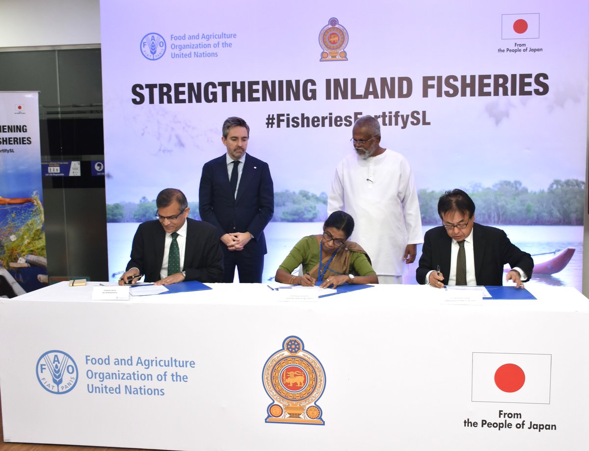 #NEWS: @JapanEmb_SL provides US$ 3 Million through @FAO to strengthen inland #fisheries and improve rural livelihoods in #SriLanka The initiative will establish mini hatcheries, upgrade #aquaculture centers, and enhance technical capacities. Learn more👉 bit.ly/3UxNwCl