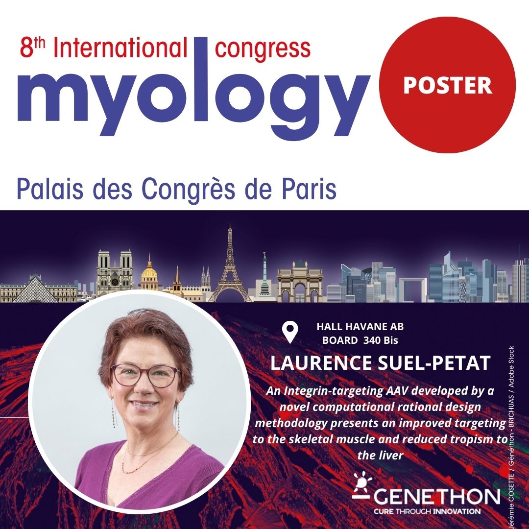 [#MYOLOGY2024]
April 25th, have a look at the poster N°340 Bis of Laurence Suel from @GenethonFR: An integrin-targeting AAV developed by a novel computational rational design methodology presents an improved targeting to the skeletal muscle and reduced tropism to the liver.