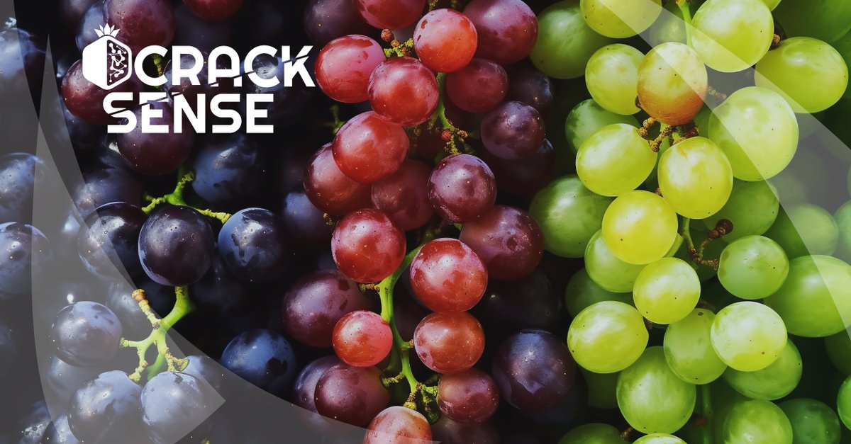 Next up in 'A Story of CrackSense Fruits' are the table grapes!

Explore the historical symbolism and origins of table grapes, tracing their journey through time and uncovering their nutritional perks.

Follow the link: bit.ly/3w6MqUF

#HorizonEurope #ResearchImpactEU