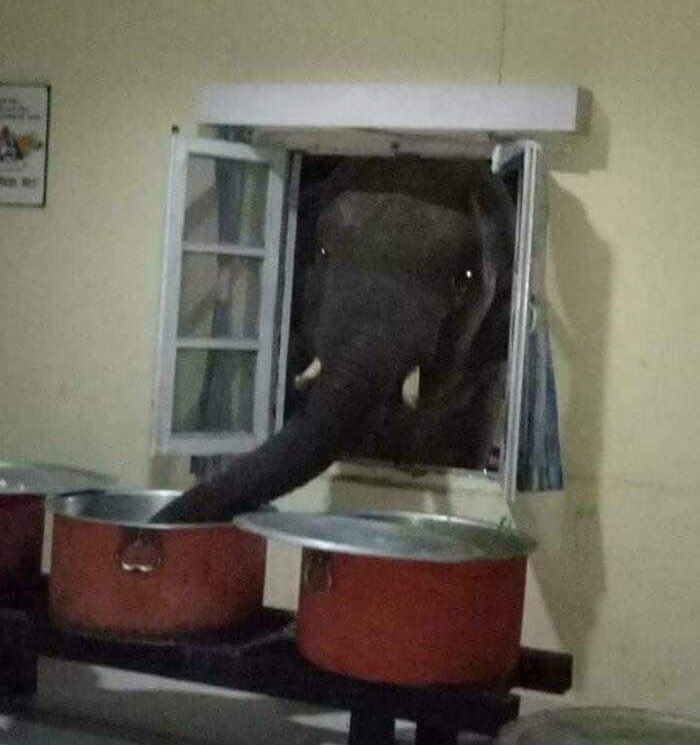 I don't even know (@nihilismls) on Twitter photo 