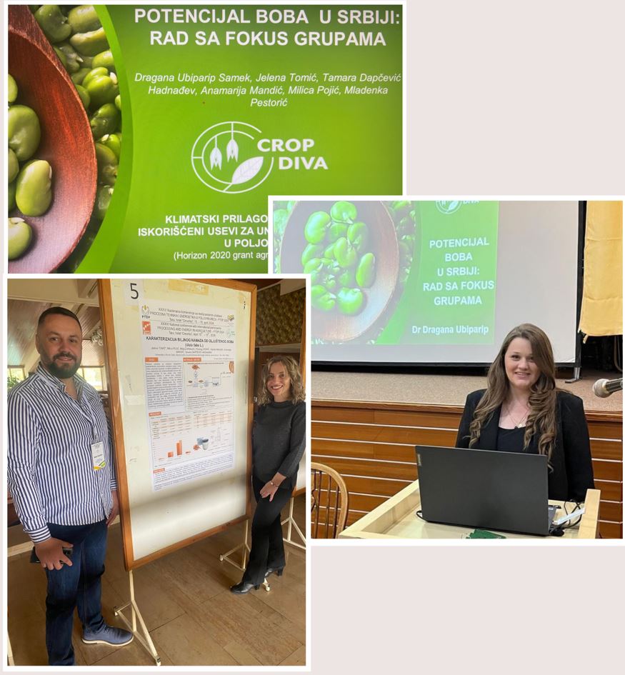Excited to unveil the incredible potential of Faba beans at PTEP2024! The FINS team shared insights from their work with focus groups about the status and perspective of faba beans as well as an insight into technological processing.
#H2020Cropdiva
#ResearchImpactEU 
#PTEP2024