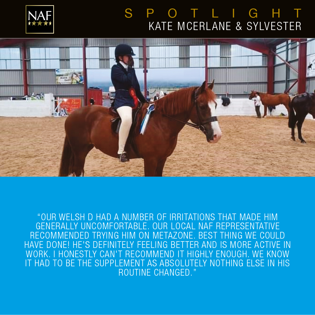 In the #NAFSpotlight today are Kate McErlane & Sylvester, who cannot reccommed Metazone enough! 💙 #FiveStarReview #RealRiderReview