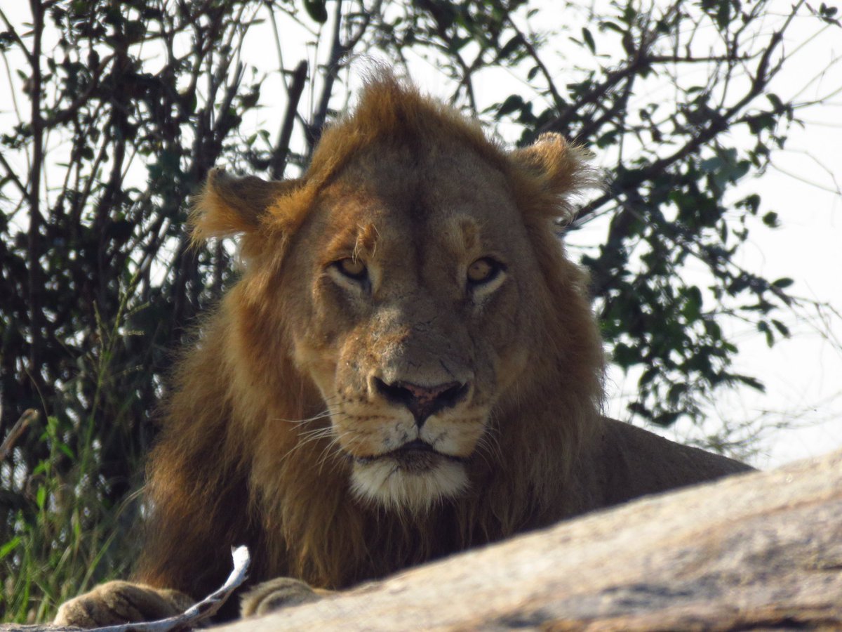 What a stunner.👌🏾👌🏾👌🏾 #Myoffice 📍KNP