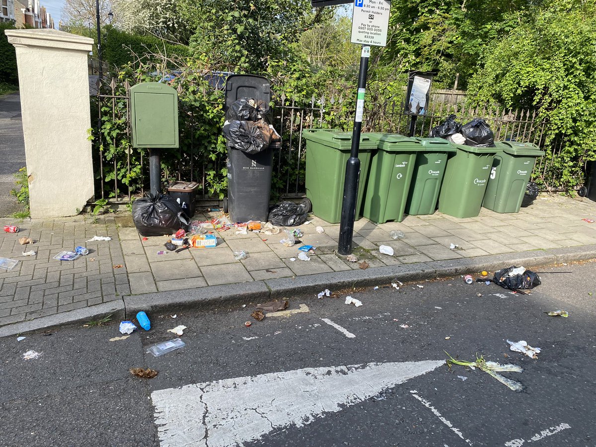 State at end of Leander Road first week of alternate week black bin collecting. Considering poor cleanliness of streets before alternate bin collection I fear we’re going to have to get used to it, with smell and increase rodent problem. @lambeth_council @RushCommonLab