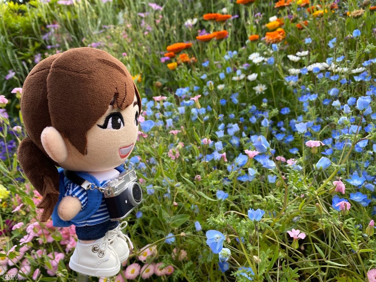 みどちゃん ◢◤#あしたのZIP!◢◤ ⏰あさ8時20分ごろは… 新企画『水卜リップ