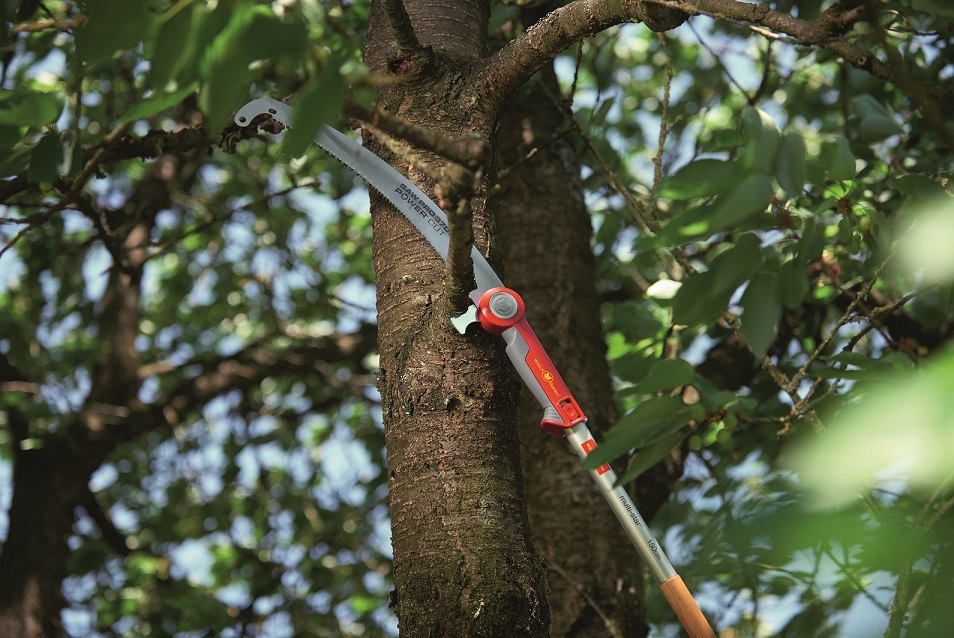 Tidy up your trees with our Professional Pruning Saw, and combine with our telescopic handle to keep your feet safely on the ground  😀bit.ly/2K4QJ7w

#wolfgarten #Gardening #AllotmentLife #gardentoolsuk #easygardening #lovegardening  #growyourown