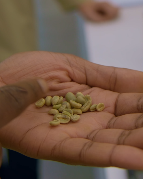Nouveau café, nouveau terroir, nouvelle collaboration… ☕🌎

Restez connectés, on vous dévoile très prochainement notre nouvelle édition limitée exclusive. À votre avis, qui se cache derrière cette co-création ?