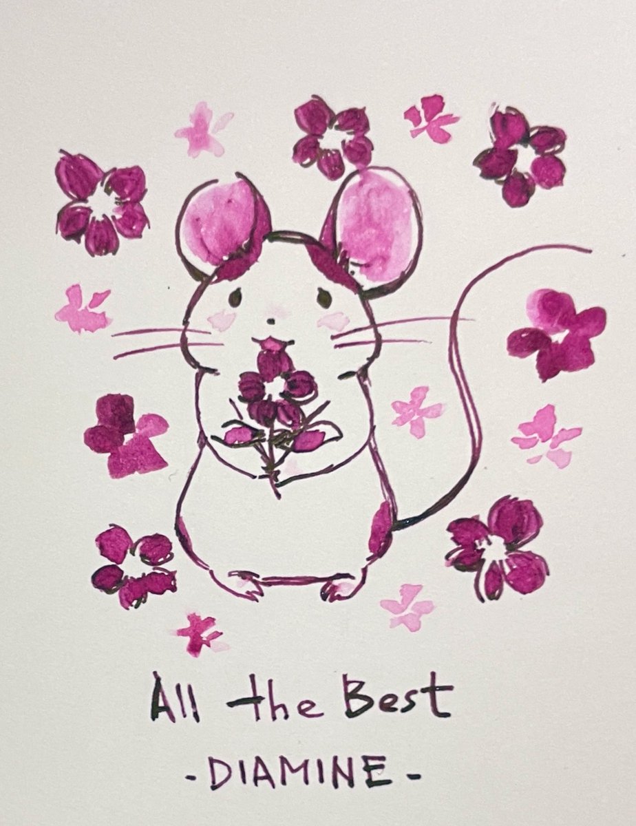 初DIAMINEかわいい🌸