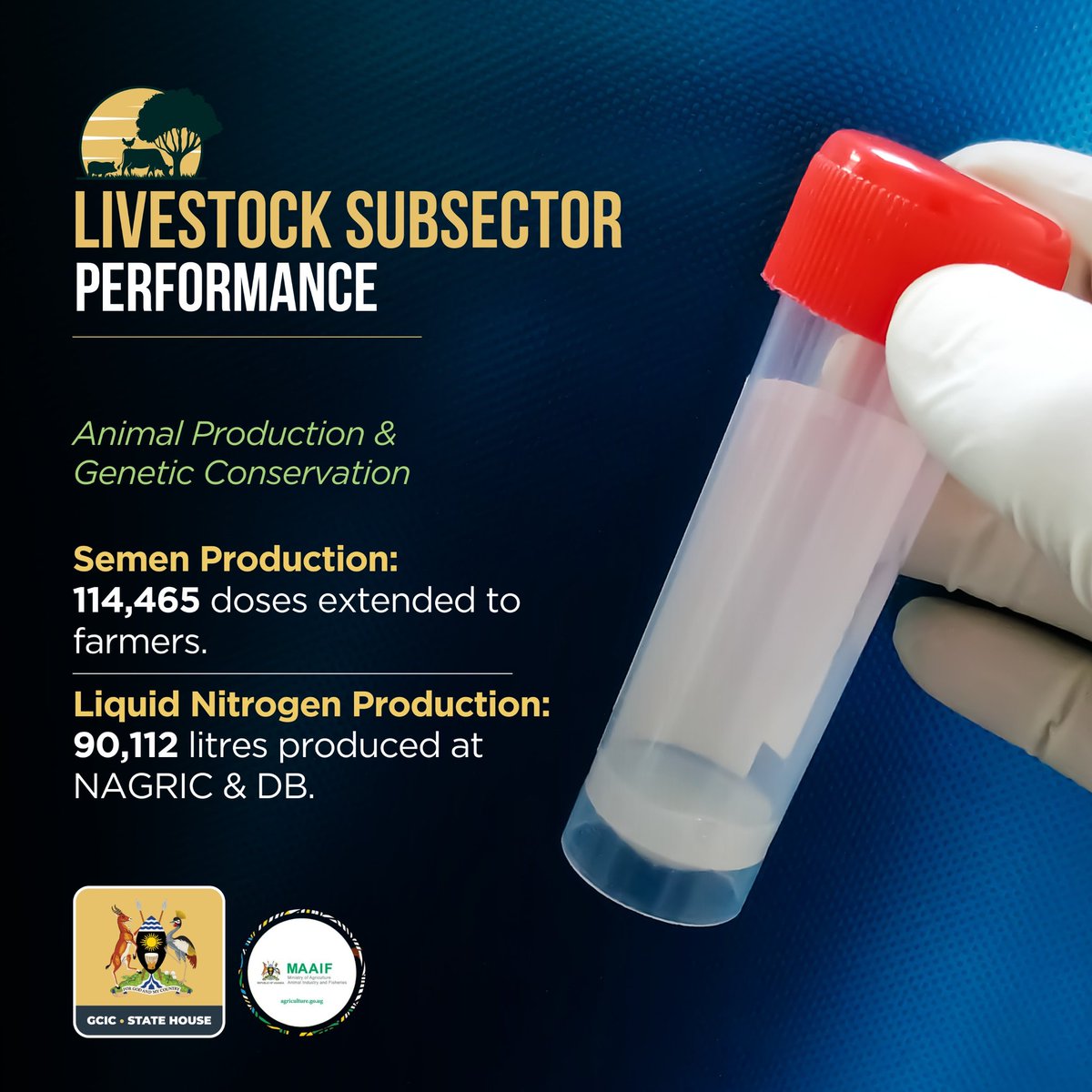 𝐋𝐈𝐕𝐄𝐒𝐓𝐎𝐂𝐊 𝐒𝐔𝐁 𝐒𝐄𝐂𝐓𝐎𝐑 Livestock sub-sector records the production and extension of 114,465 doses of semen to farmers, alongside the production of 90,112 litres of Liquid Nitrogen at NAGRIC & DB. #OpenGovUg