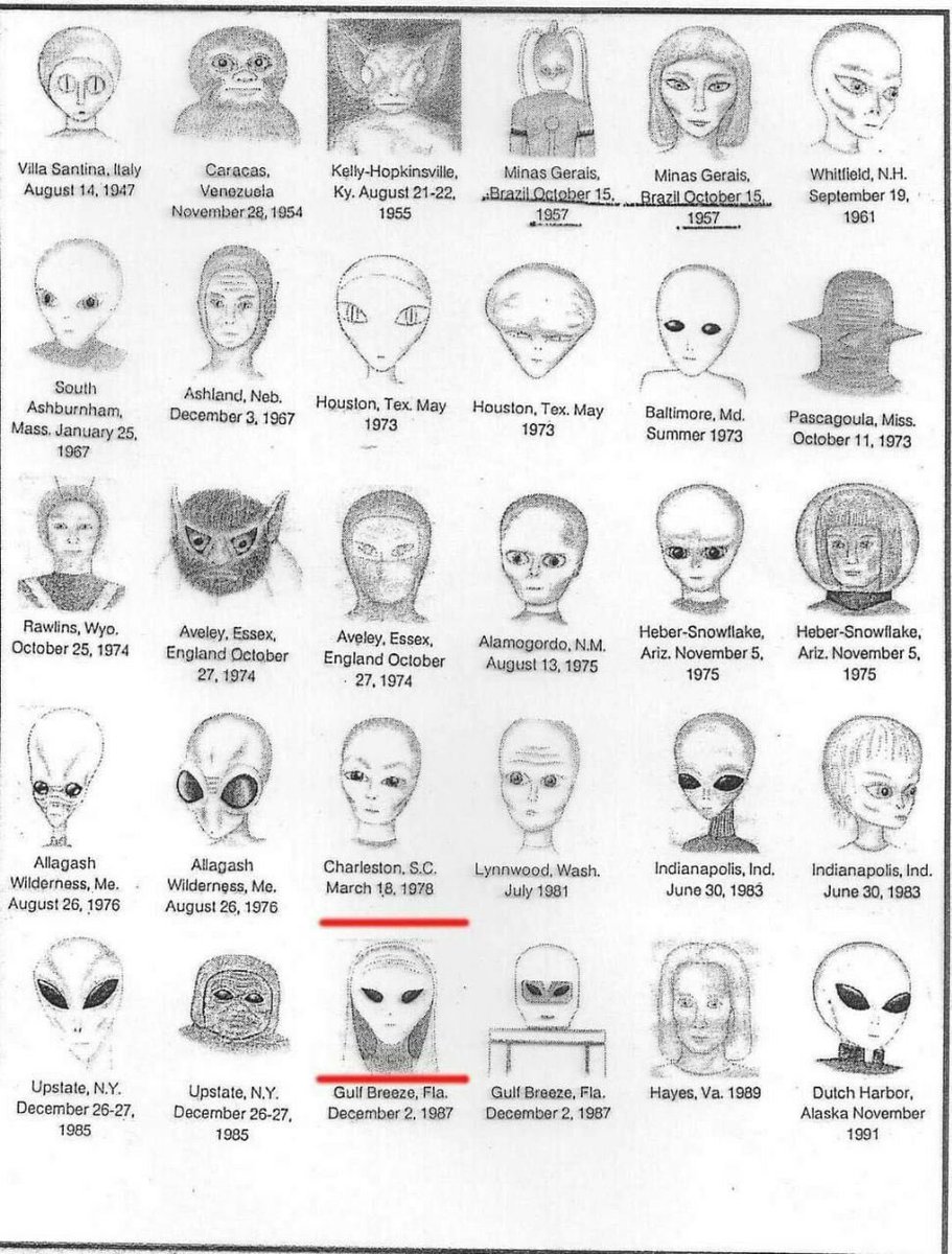Tipos de Extraterrestres avistados por los Contactados entre 1947 y 1991👽