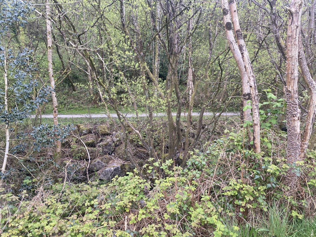 OVPS Mrs Hunt tweet media