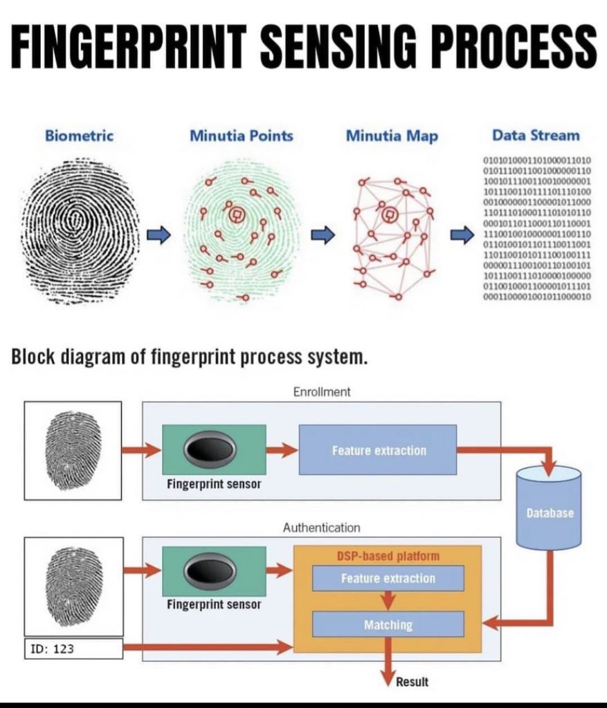 Fingerprint Sensing Process