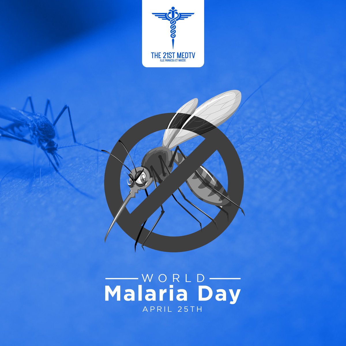 MALARIA
Malaria is caused by a parasitic protozoa of the genus Plasmodium. 
Four species cause disease in humans: P falciparum, P vivax, P ovale and P malariae.  

Plasmodium is a genus of unicellular eukaryotes that are obligate parasites of vertebrates and insects.