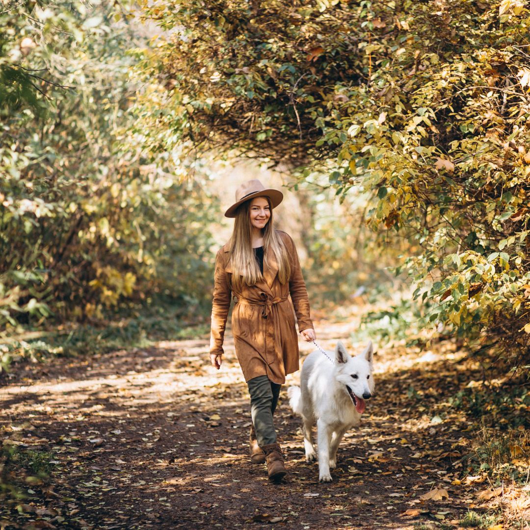 The best spring walks in Dumfries & Galloway – beautiful sandy beaches, craggy cliffs, places of historical interest, forests, dramatic landscapes & plenty of wildlife...buff.ly/3vAhgoo #spirngwalks #dumfriesandgalloway #HeathhallBusinessCentre #supportlocalbusiness