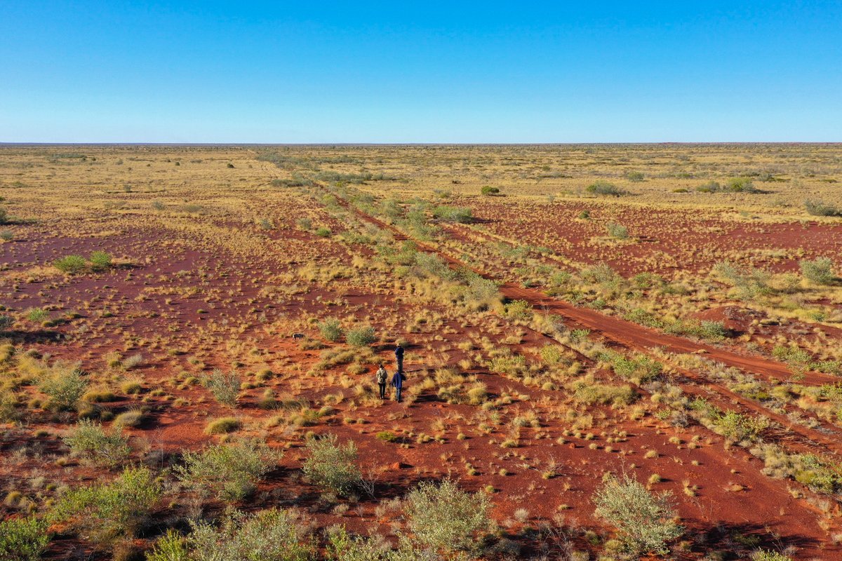 Beautiful drone shot taken by Ngururrpa Rangers at a drone training workshop in 2022. Drones are increasingly being used in ranger work, helping rangers with cultural mapping, looking after threatened species, and keeping Elders connected to country as they become less mobile.