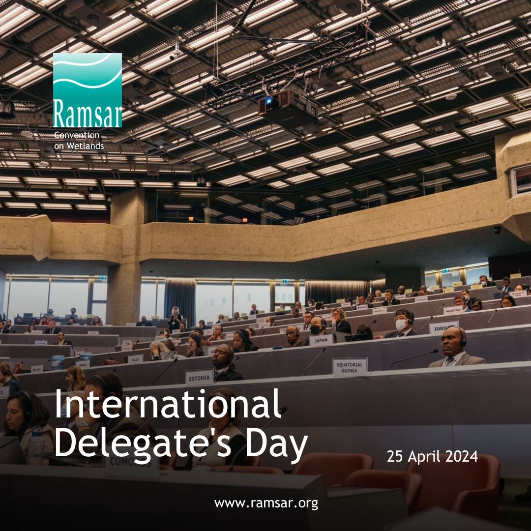 On this International Delegate's Day, the Convention on Wetlands commends its Contracting Party delegates and the shared interest they demonstrate in the quest to protect wetland ecosystems. ramsar.org/news/uniting-w… #DelegatesDay #WetlandsMatter
