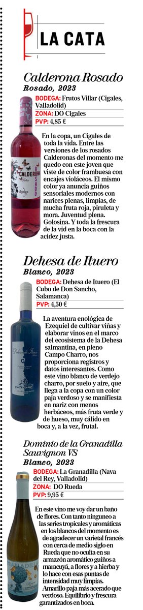 En mi #CataJPA os sugiero estos tres vinos en @diariocylmundo. 🍷 @FrutosVillar - @DOCigales 🍷 @DehesaDeItuero 🍷 @la_granadilla - @DORueda