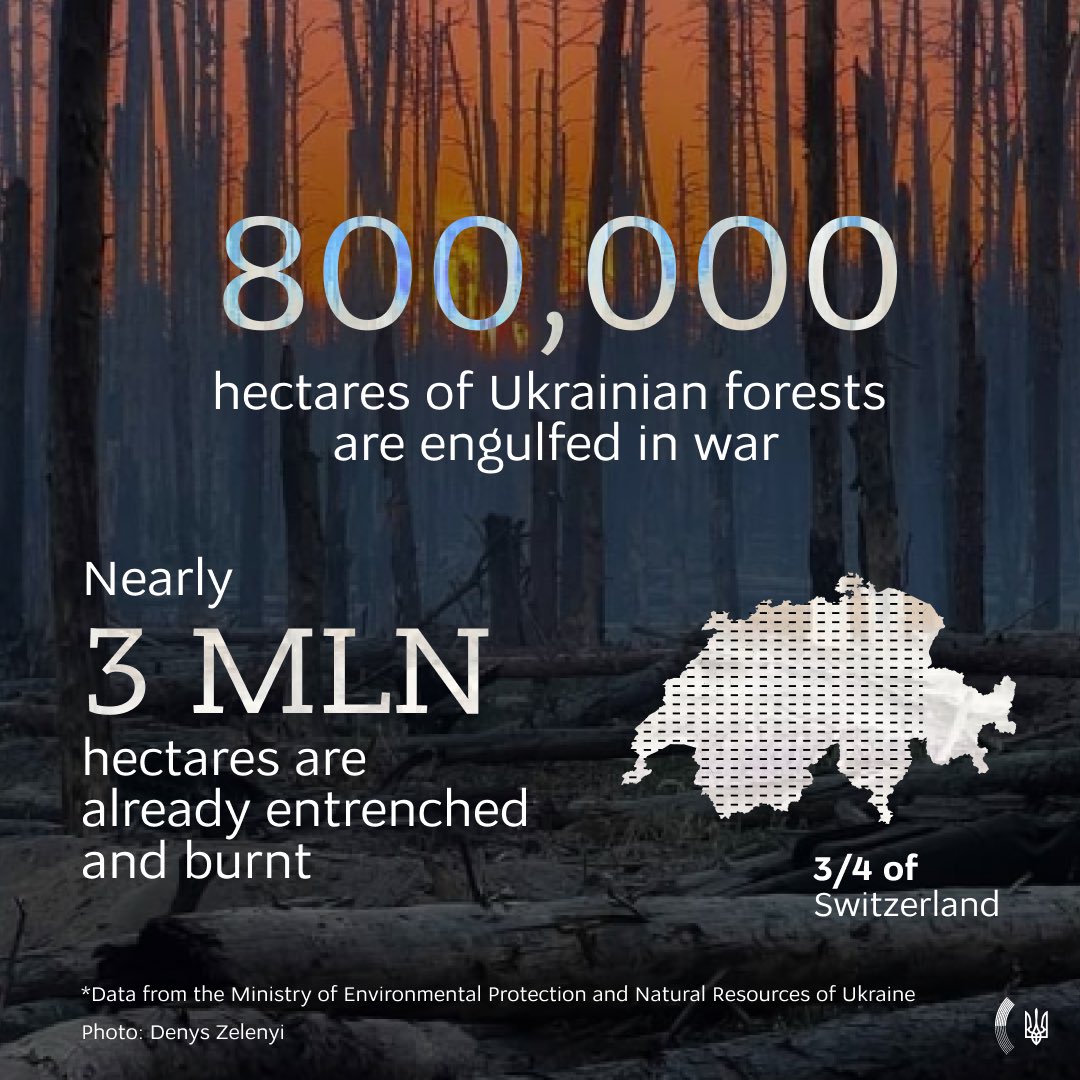 Ukrainian forests have now turned into battlefields. Approximately 2,400 km2 of 🇺🇦 forest are under temporary occupation. Ukrainian forests and their inhabitants must be saved now. Not every European country has as much forest as 🇷🇺 has destroyed in #Ukraine #StopEcocideUkraine