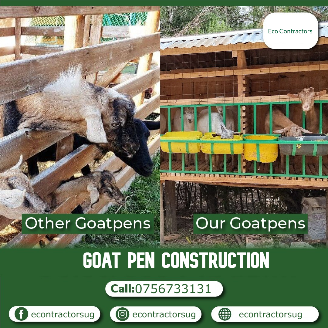 Are you looking to provide a safe and comfortable home for your beloved goats? Look no further! Our team specializes in crafting top-quality goat pen.
𝐂𝐚𝐥𝐥 𝐔𝐬 : +256 756733131

#Goatpen #Goatfarming #Goatpenconstruction #Goatpenbuilding #goats  #kampala #UgandaCensus2024