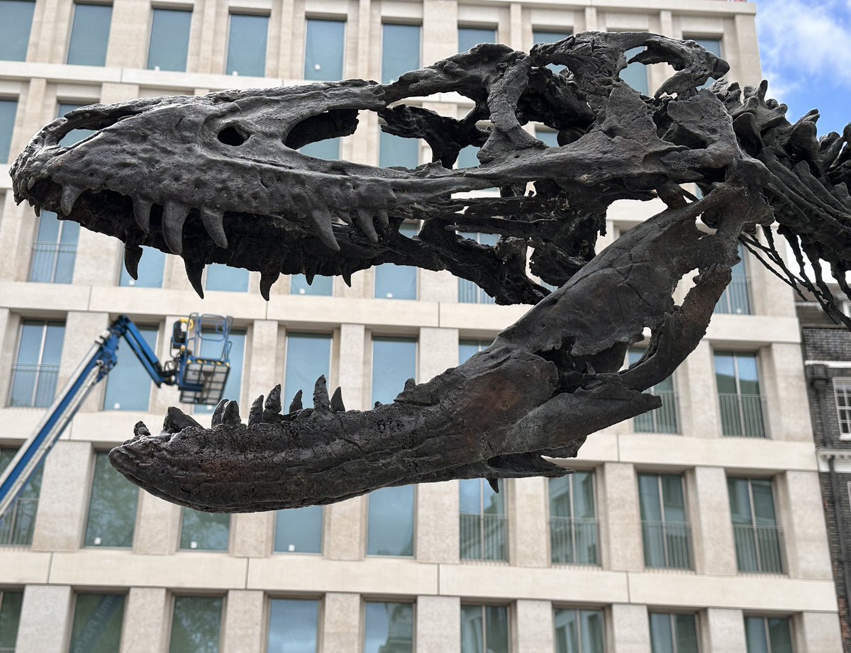 World’s biggest dinosaur discovered in Berkeley Square