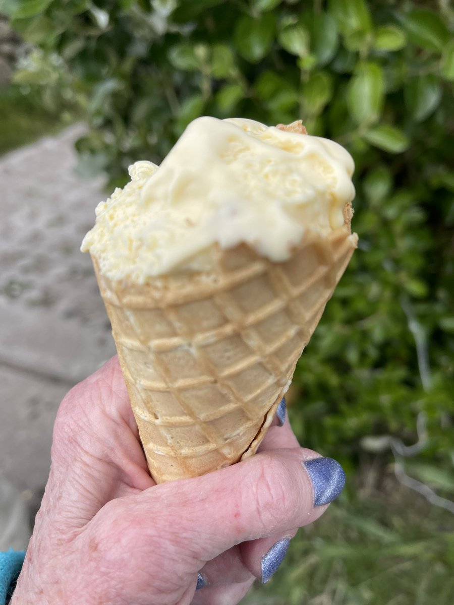 Forgot to mention the ice cream stop at Troytown Farm - Had to be done !