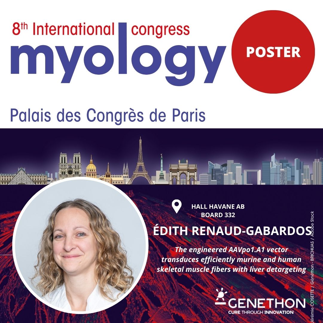 [#MYOLOGY2024]
📄 Today, April 25th, come and meet Edith RENAUD-GABARDOS and Louise MANGIN from @GenethonFR, with the poster N°332 : The engineered AAVpo1.A1 vector transduces efficiently murine and human skeletal muscle fibers with liver detargeting.
#congress #Board #AAV