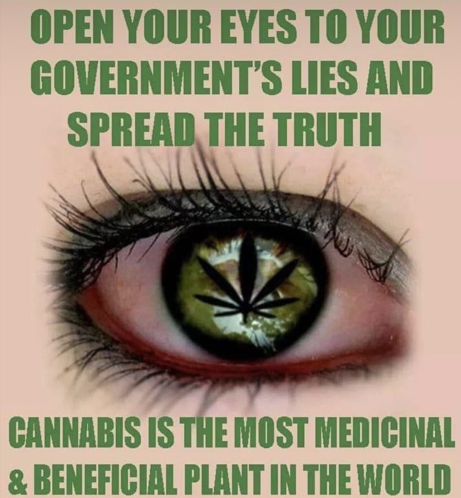 If Politic is doing NOTHING; do NOT vote them for returning LIES!
If they stand with Human Rights; they can prove Prohibition &Switch IT OFF- Easy!
UN memberstates Call Cannabis byside Iboprophen from 2020!
Do NOT VOTE at all; If U feel NO representation in your foundationrights!