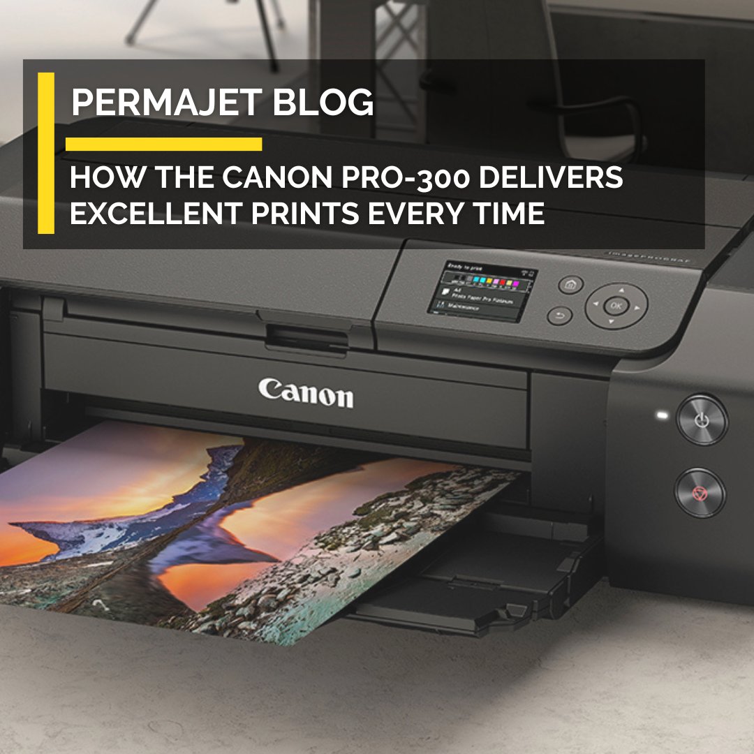 Looking for exceptional prints every time? 🖨️💫 Dive into our latest blog to discover how the Canon PRO-300 delivers exceptional quality! 🏆 Learn about its innovative features like deep blacks on fine art paper & reduced ink & paper wastage.  Read more➡️ bit.ly/3PYpNs6