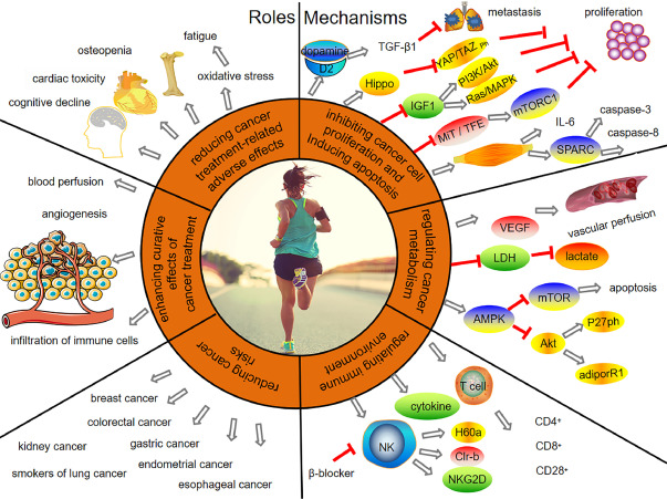 🔹 Roles and molecular mechanisms of physical exercise in cancer prevention and treatment 

#cancer #cancertreatments 

sciencedirect.com/science/articl…