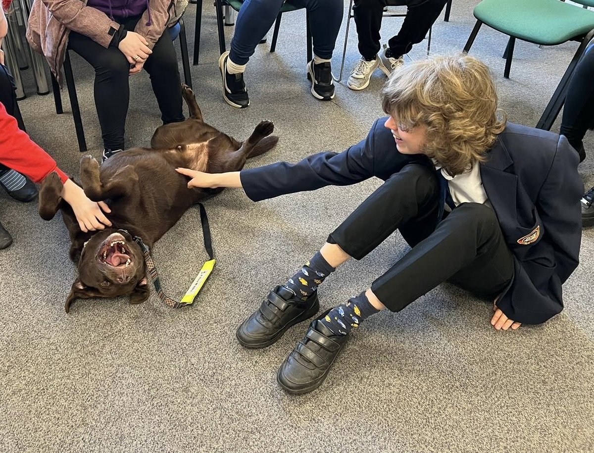 Rowan was so brave meeting Huggy the therapet at college! He is usually scared of dogs so this was a chance to overcome his fears. Well done Rowan 👏🏻⁦@knoxacademy⁩