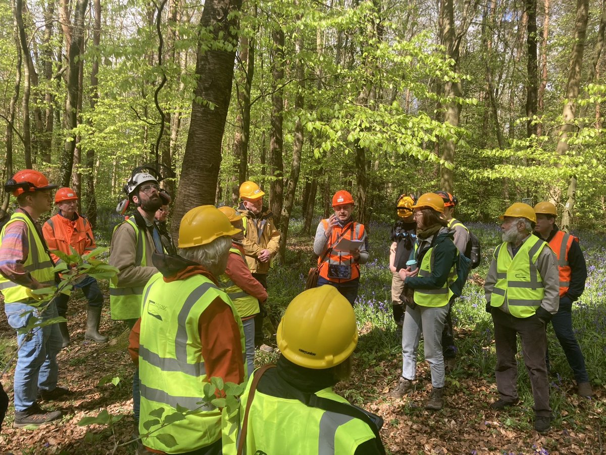 Our second @teagasc Marteloscope Forest Management Workshop went very well yesterday focusing on close-to-nature #forest management 🌳🌲🌳🌲. The workshop was facilitated by Jonathan Spazzi, Frances McHugh and Noel Kennedy, Teagasc Forestry Advisers.
