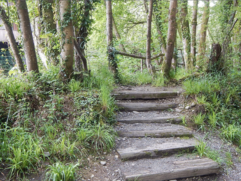 The steps.....Teifi riverbank Llandysul #teifi #llandysul #cymru