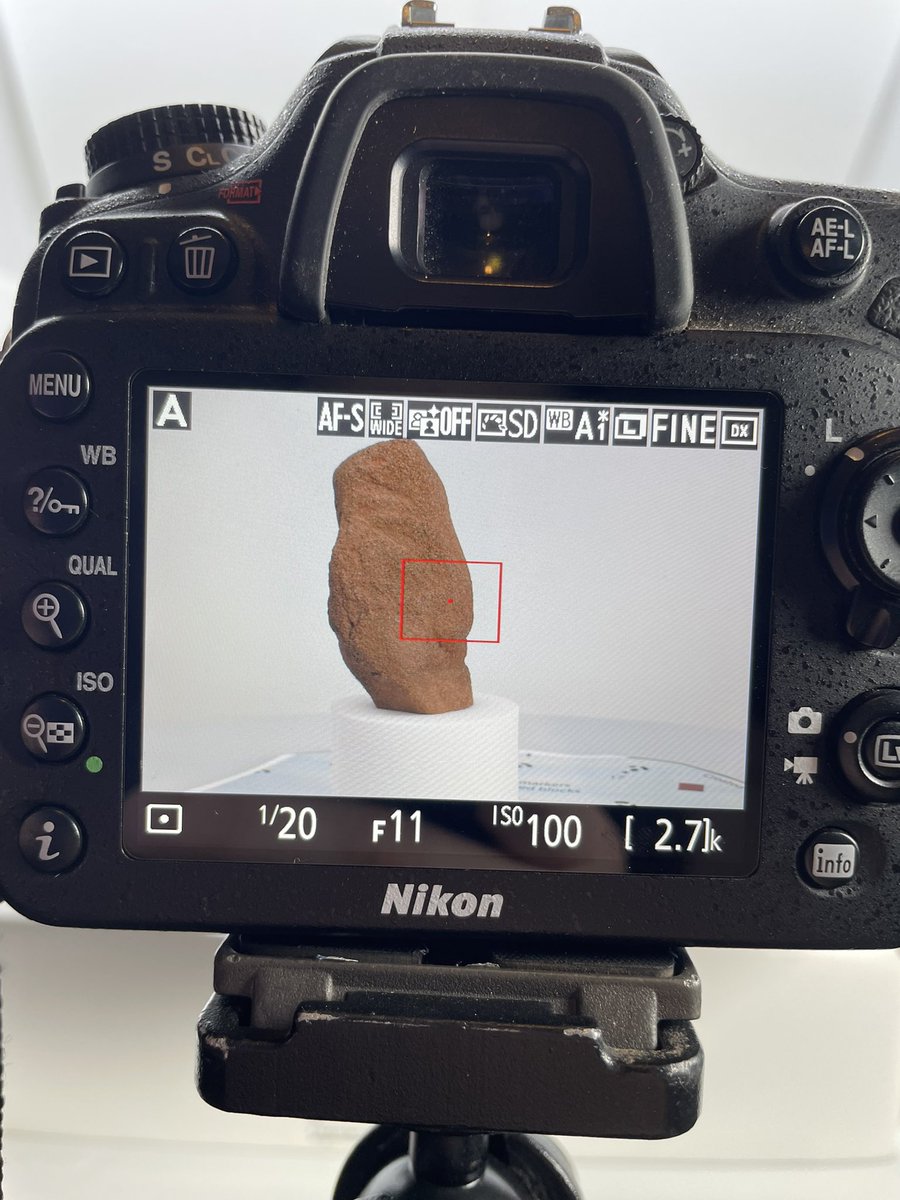 3D modelling is well underway at the Cults of the Head project ☺️