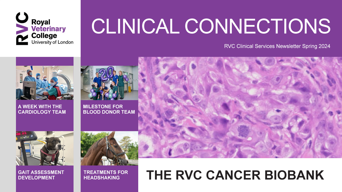 📖 Our Spring edition our Clinical Connections is out now. ▪️ A week with the cardiology team ▪️ Milestone for blood donor team ▪️ Gait assessment development ▪️ Treatments for headshaking ➡️ Read online now at: rvc.ac.uk/static/newslet… 🔔 Subscribe: rvc.uk.com/cc-subscribe