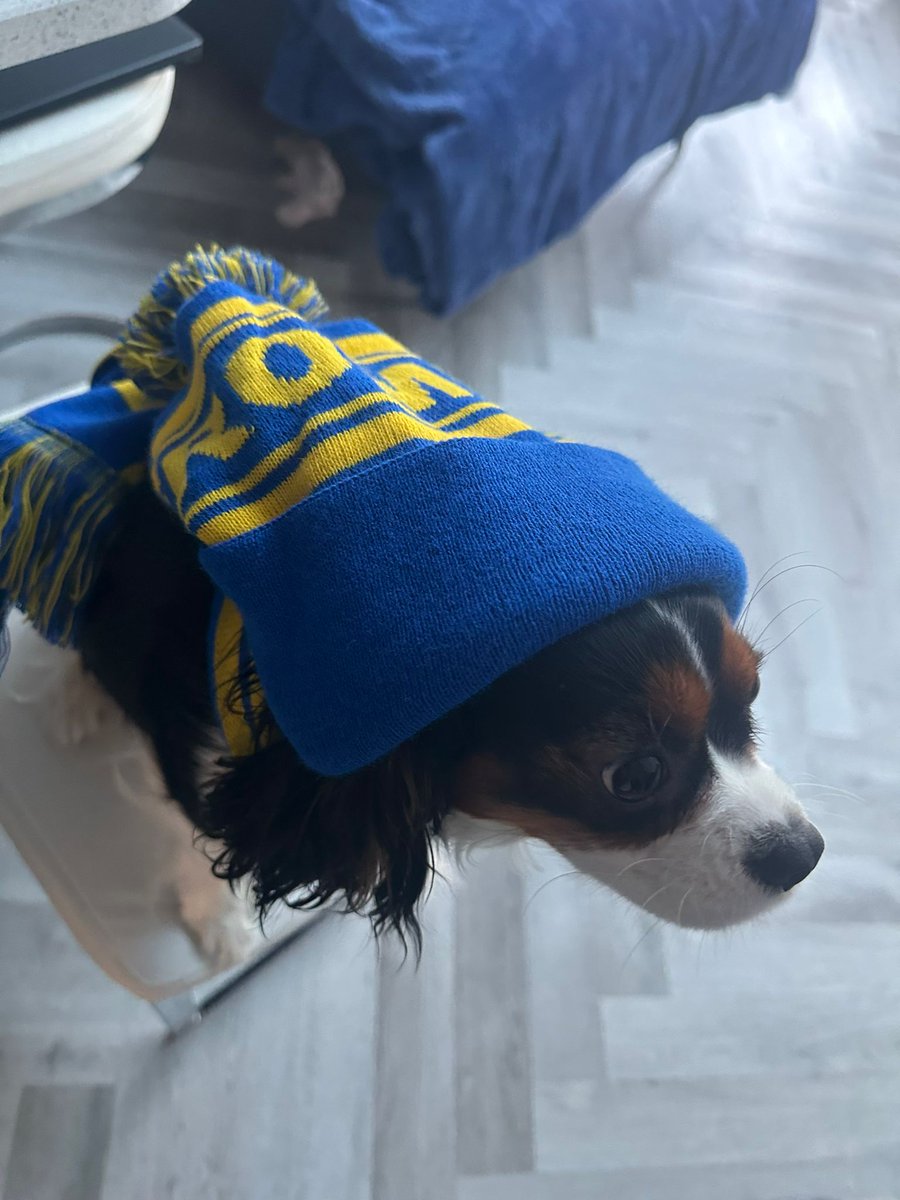 Luna the Green footprint mascot is as excited as we are to be going to Wembley to support @RomfordFC @borolife @RomfordFCCorp  #proudsponsors